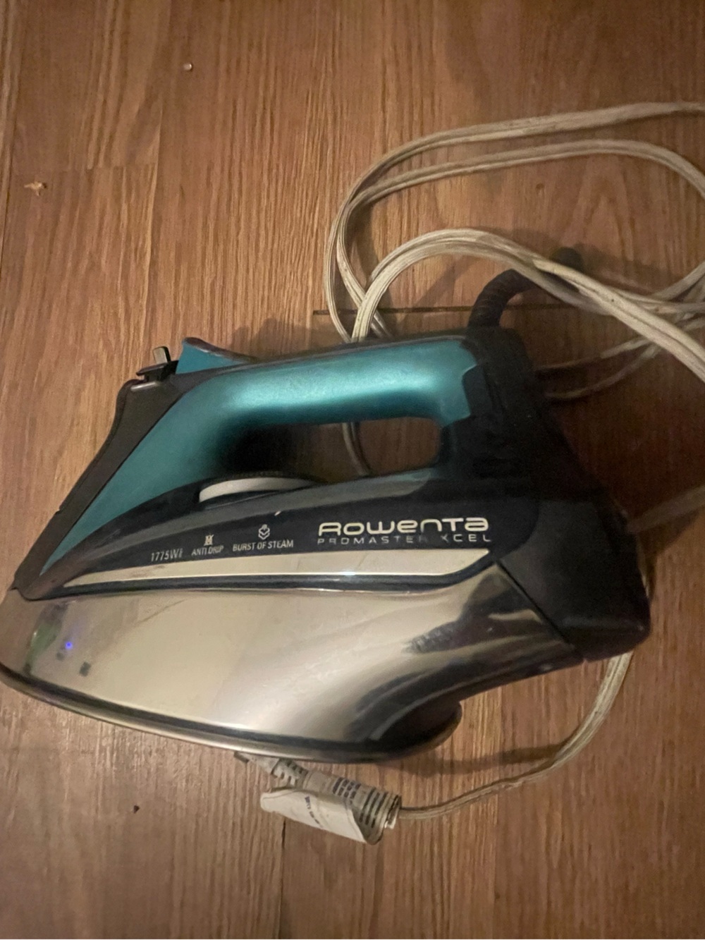 Rowenta ProMaster Xcel Steam Iron in Teal and Silver